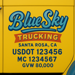 Custom Truck Door USDOT Lettering Decal Sticker Signs With DOT, MC, GVW, KYU, CA Lettering (Set of 2)